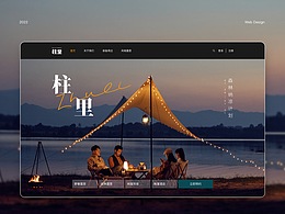 系统管理型网站