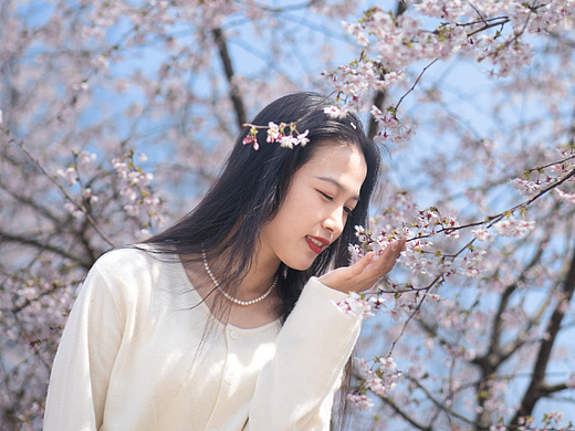 不负“樱”缘,陌上花开·花香浮云