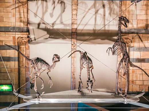 摄影作品-British Museum（个人主页-ZNjA5NzM5MjQ=） - 环境/建筑摄影 - 站酷设计师daymax28原创素材 - 站酷ZCOOL