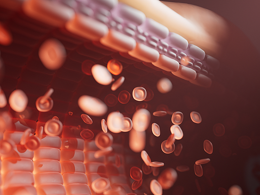 红细胞在血管内流动的三维艺术化表现