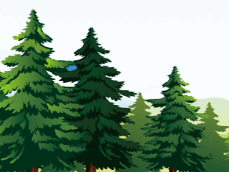 森林防火宣传手册