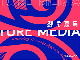 鲜衣怒马 I 影视品牌 I 品牌设计全案