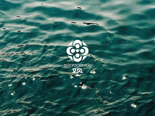 观微旅行品牌全案设计 | 品牌全案/LOGO/VI/三维/标志