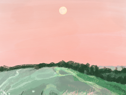 绘画星球打卡挑战7