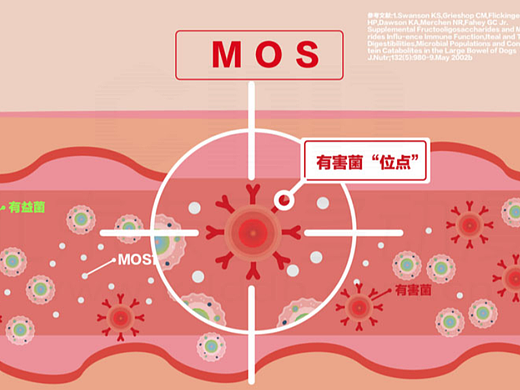皇家犬猫MG动画制作(猫粮犬粮)