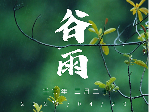 谷雨｜二十四节气-人在茶途