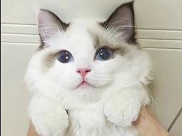 很可爱俏皮的晒美食的说说(26句)