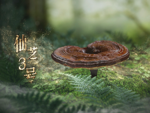 《只给尊贵的你》-寿仙谷（个人主页-ZNjQxMDk1OTY=） - 短片 - 站酷设计师管丹青原创素材 - 站酷ZCOOL