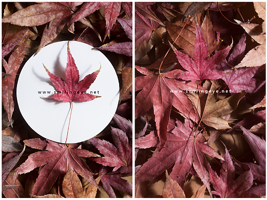 脱颖而出