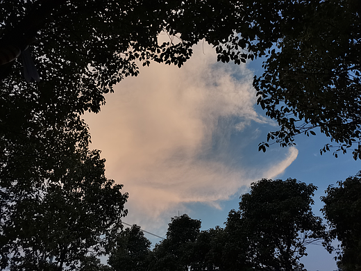 风景哪里都是美妙