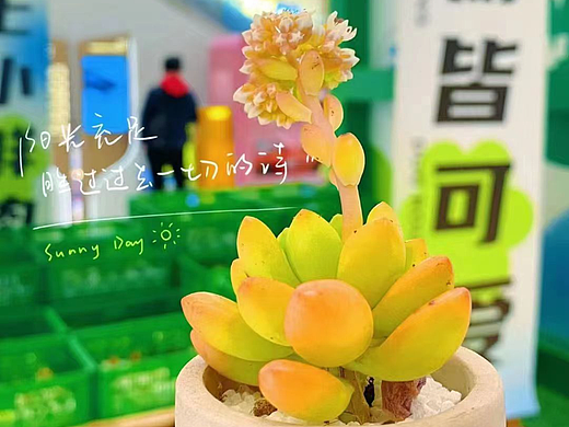 旭辉商业中心中庭春日多肉DP点打造/中庭DP点设计