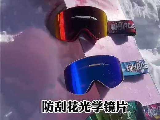 鲸鱼户外滑雪镜