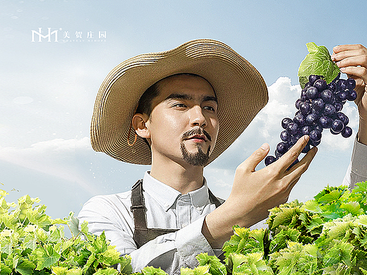 点奥文化 | 美贺庄园详情页视觉策略分享