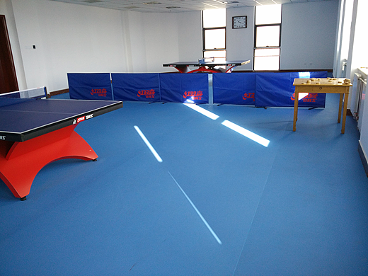 成都运动地胶_四川运动地板案例