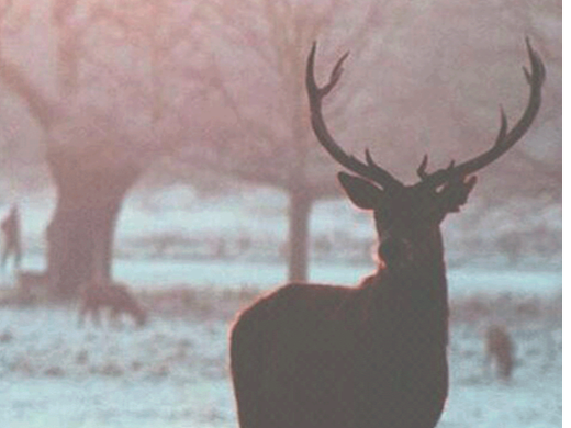 天气预报（个人主页-ZNjM5MDY4MzY=） - 动效设计 - 站酷设计师可爱笑笑鸭原创素材 - 站酷ZCOOL