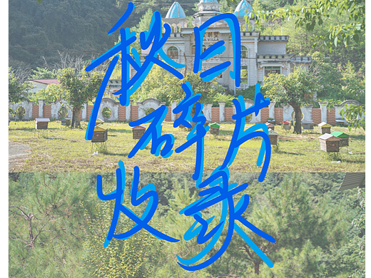 手写字体