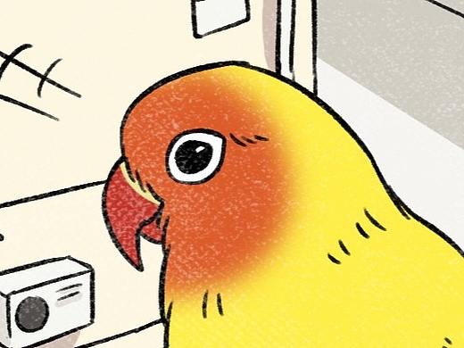 失而复得之勇敢的小鸟