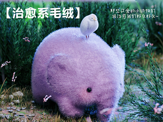 【治愈系毛绒】世界上总有些东西能留住我们