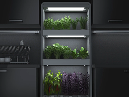 Convolute蔬菜機(jī)廣告