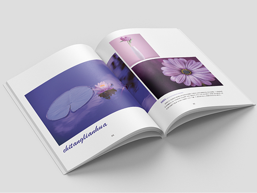 圖片畫(huà)冊(cè)排版（個(gè)人主頁(yè)-ZNjY0MDU5ODA=） - 書(shū)籍/畫(huà)冊(cè) - 站酷設(shè)計(jì)師初次遇見(jiàn)999原創(chuàng)素材 - 站酷ZCOOL