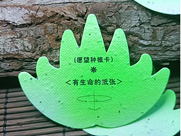 创新