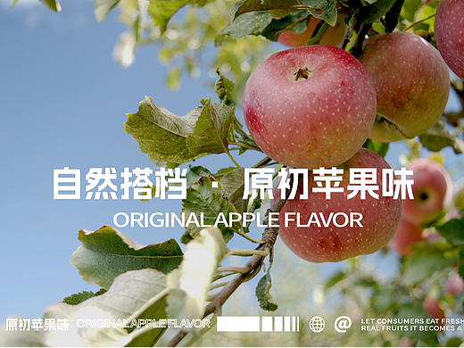 DAKO出品 | 自然搭档·把自然打包到家