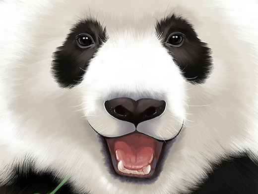 香香插画