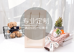 网红橱窗透明手提袋