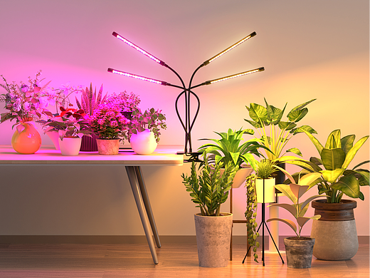 植物灯、灯泡各一套
