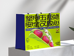 上榜央视-杂粮手提袋包装设计