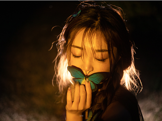 你见过燕尾蝶吗