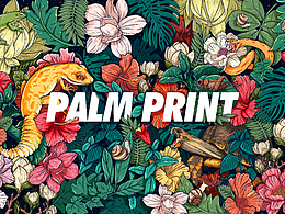 爬宠及一些花花草草~~~