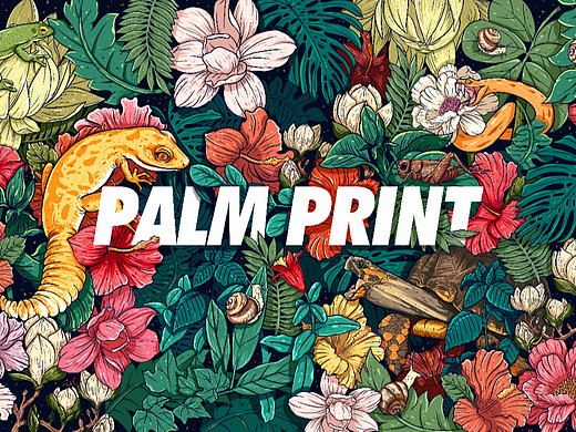 爬宠及一些花花草草~~~