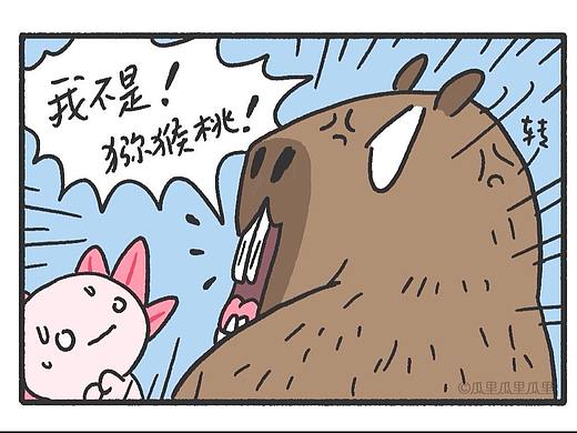 《谁说卡皮巴拉像猕猴桃?》
