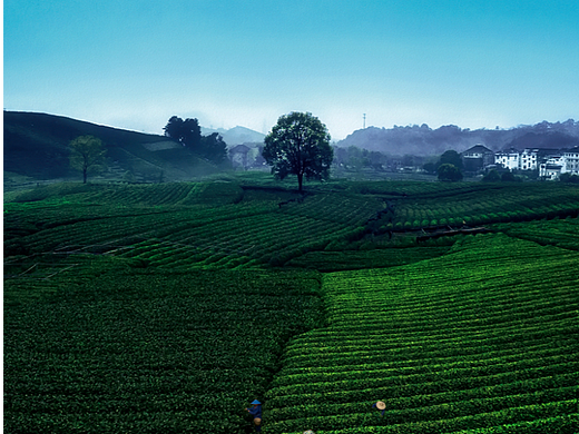三月摄影小结一些偏低调色的调调