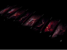 清遠連州非遺舞香火龍文創(chuàng)設計