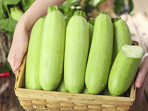 西葫芦拍摄 | 美食产品拍摄