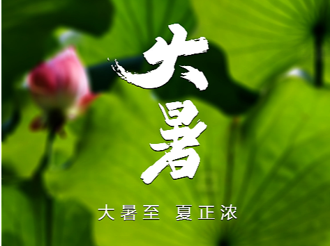 大暑海报