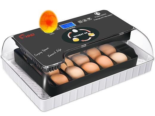 孵蛋器（黑色）