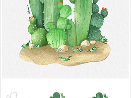 procreate水彩插画·一组沙漠仙人掌