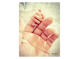 “准妈妈”升级记