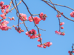 攝影 | 日常隨拍