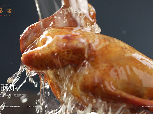 美食视频|粤菜红烧乳鸽X三鼎之力餐饮品牌全案策划
