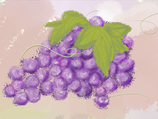 葡萄丨秋日插画 06
