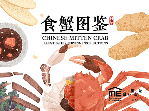 食蟹图鉴｜Chinese Mitten Crab Serving Guide