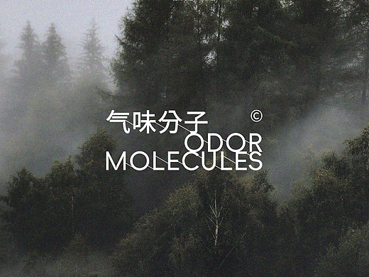 气味分子 | 香水品牌形象设计