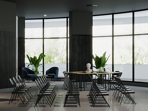 苏乔伊·贝拉 3D 可视化师 室内设计师