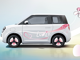 【長(zhǎng)安lumin創(chuàng)意車(chē)貼】多巴胺春日夏花