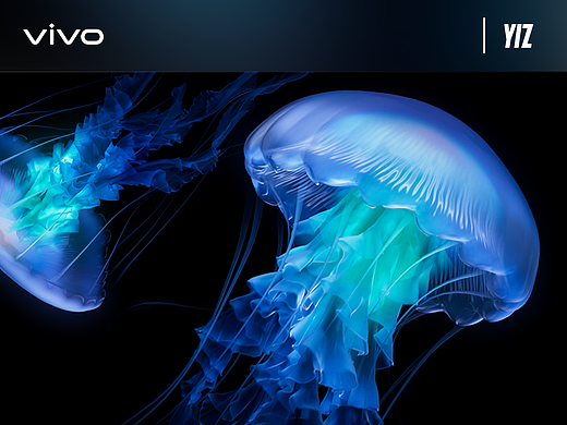 vivo X Flip 水母动态壁纸