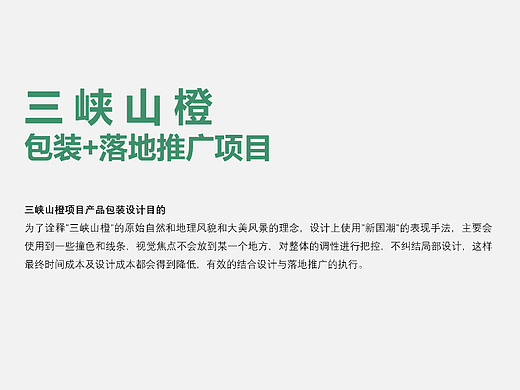 包装设计及落地推广项目·三峡山橙